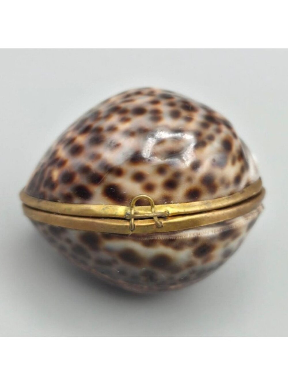 Vtg Tiger Cowrie Sea Shell Hinged Trinket Box Brass Clasp 2.5" Beach Pill Case